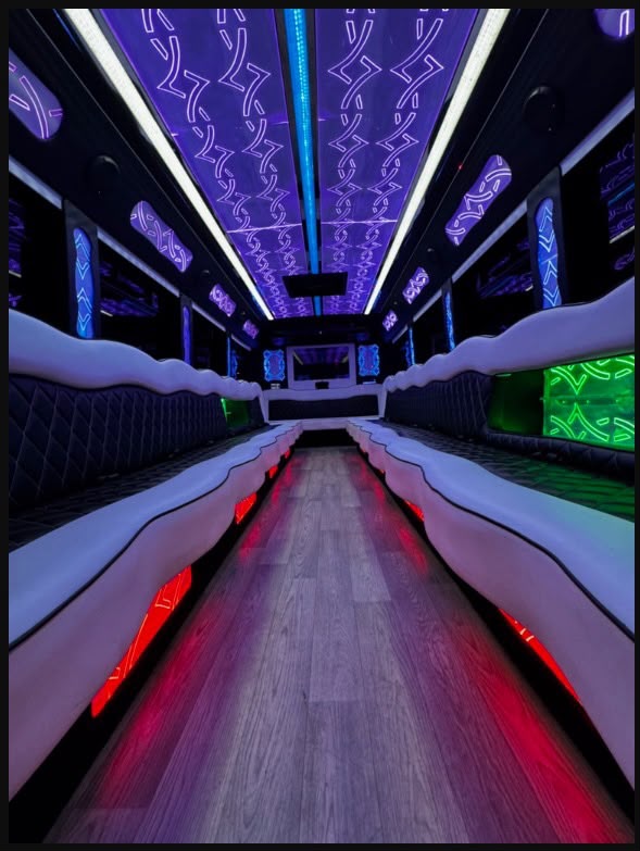 Party Bus (40 Pax) in the USA